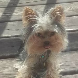 Meet your Posher, Cheri